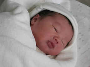 《宝贝计划〉里面BABY Large
